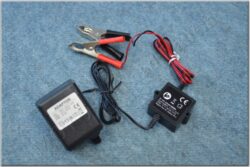 Battery charger - maintainer 5-125A